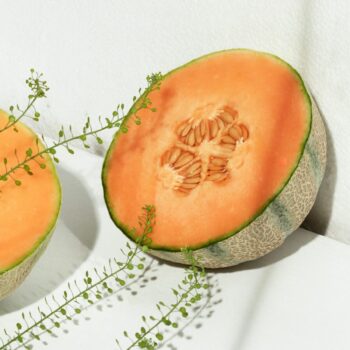 ako-si-vybrat-ten-spravny-melon